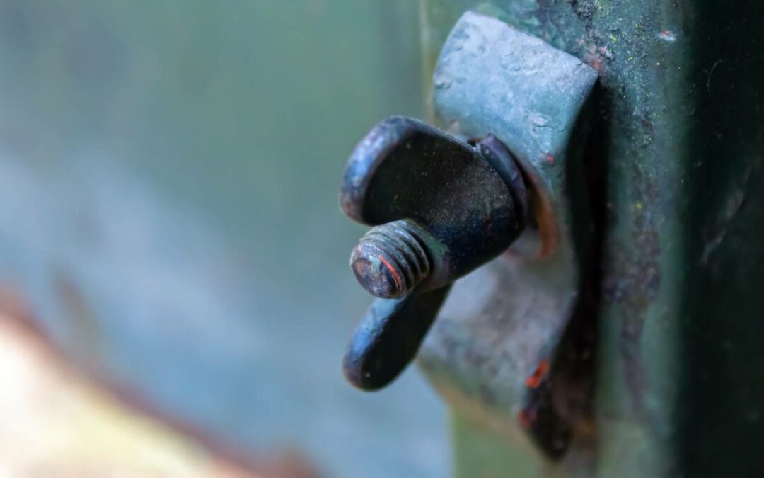 Pourquoi choisir des écrous papillons pour vos assemblages ?